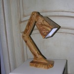 DSCN5167
